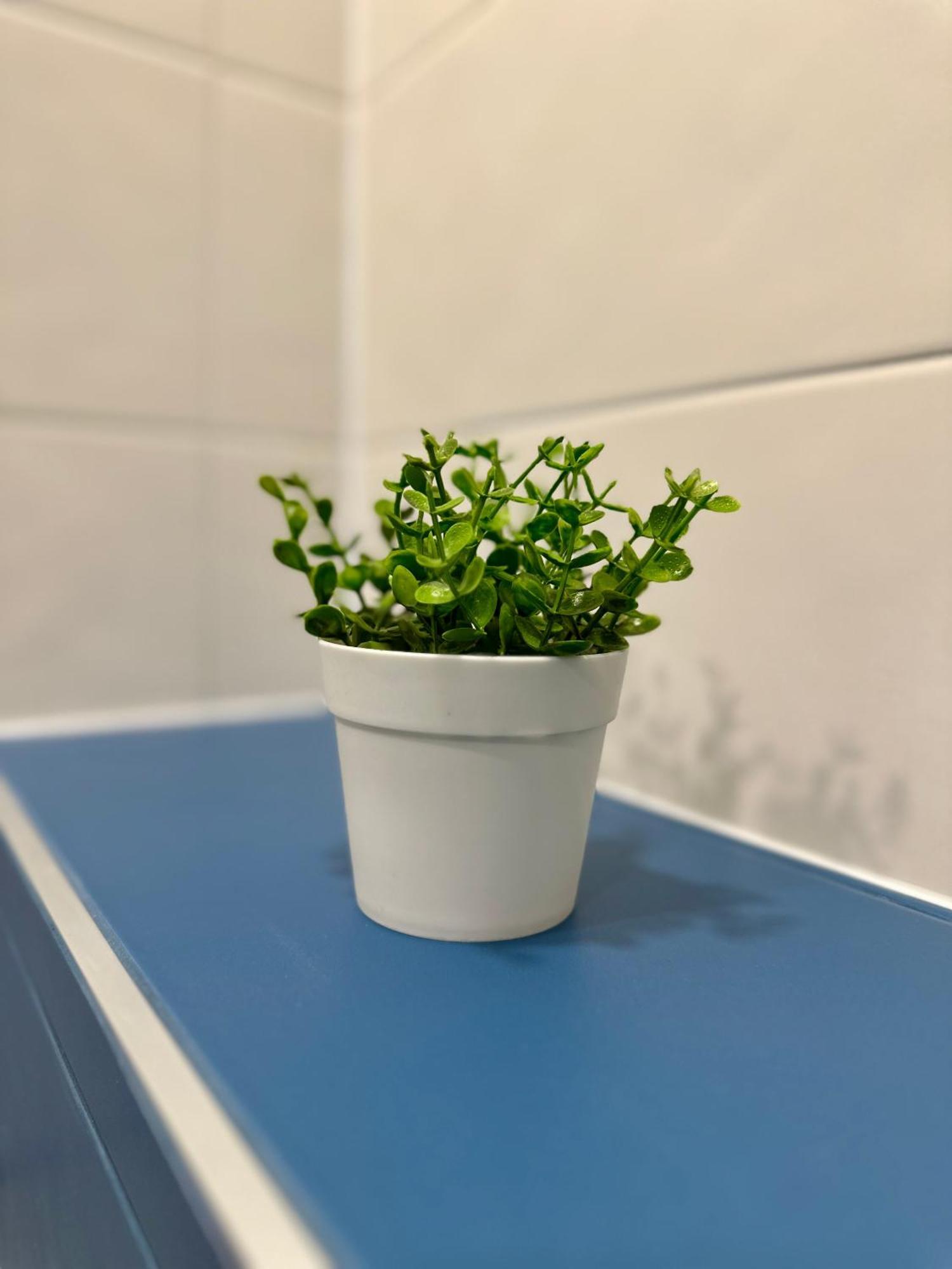 Noble House Comfort Place 소피아 외부 사진